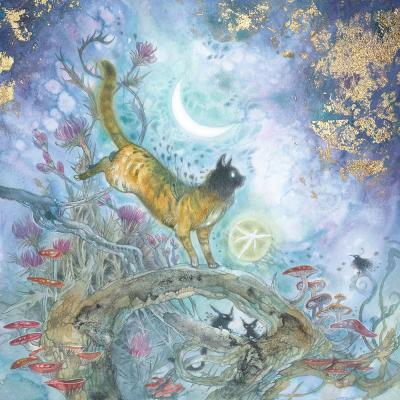 Shadowscapes - The Art of Stephanie Law